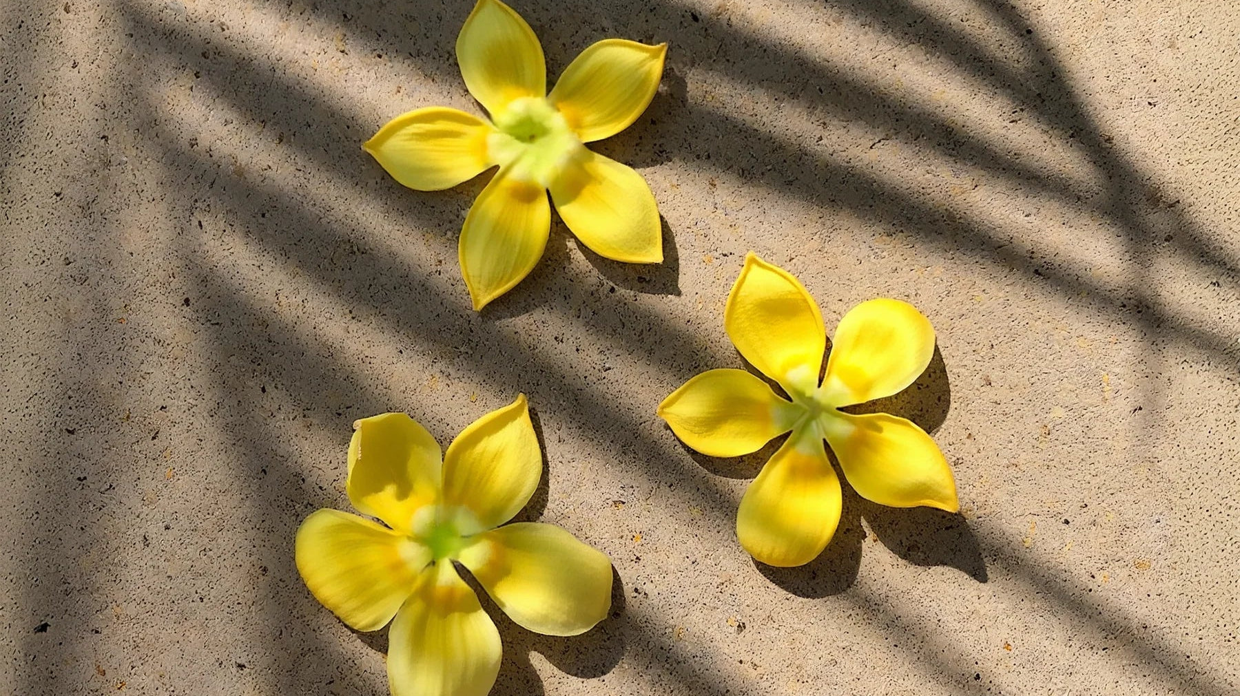 A Little Piece of Hawaii for Your Skin