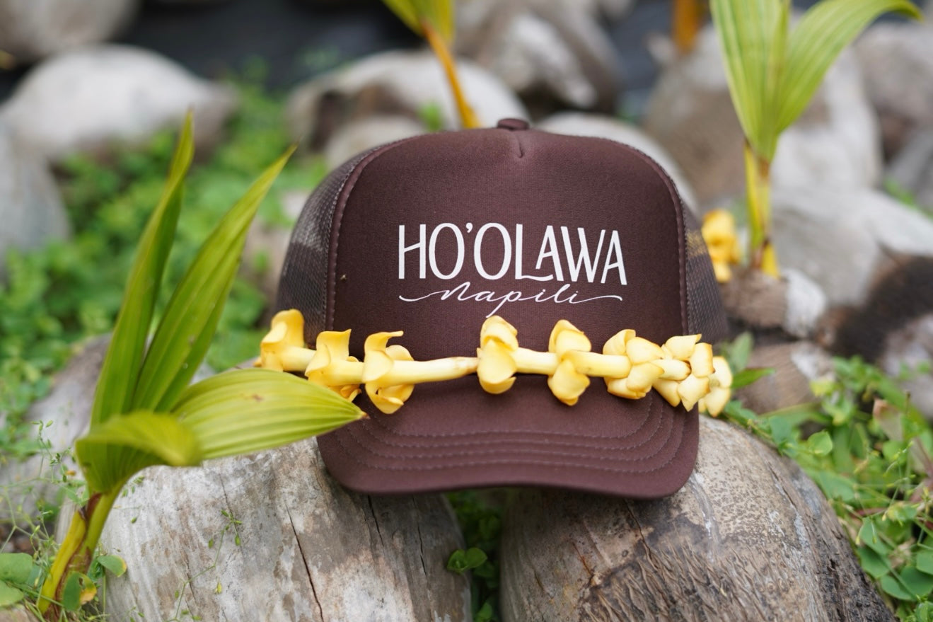 Earth Day in Maui: Small Shifts, Big Impact with Hoʻolawa