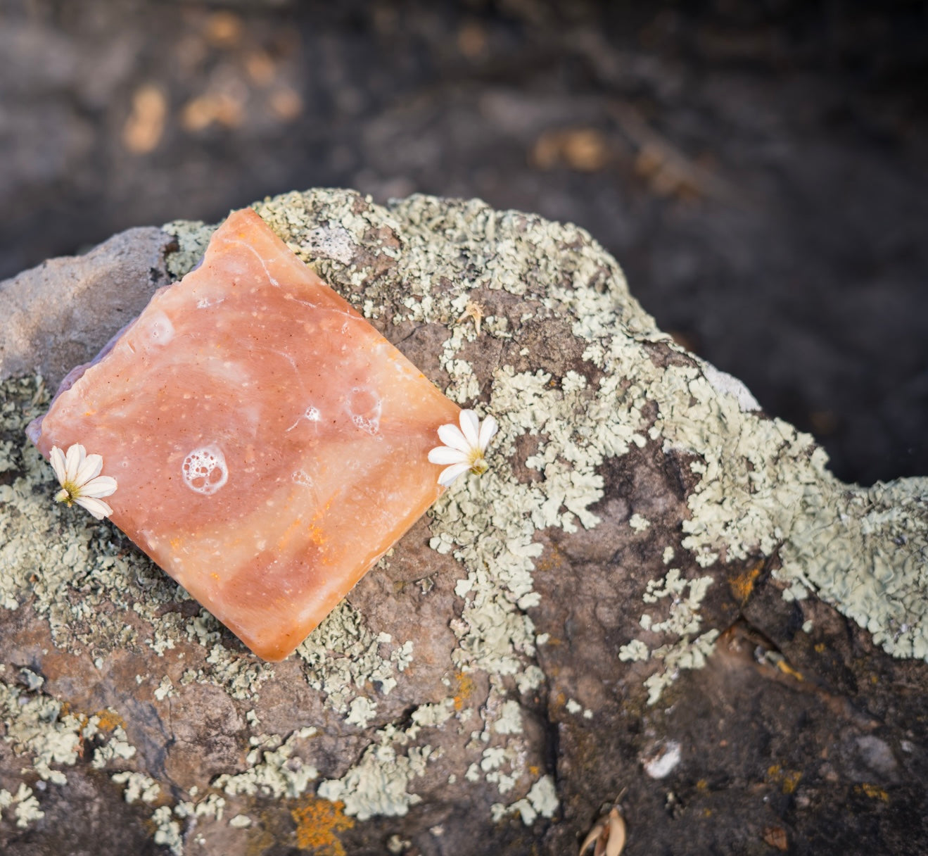 POG soap by Keālia with tropical fruit in background