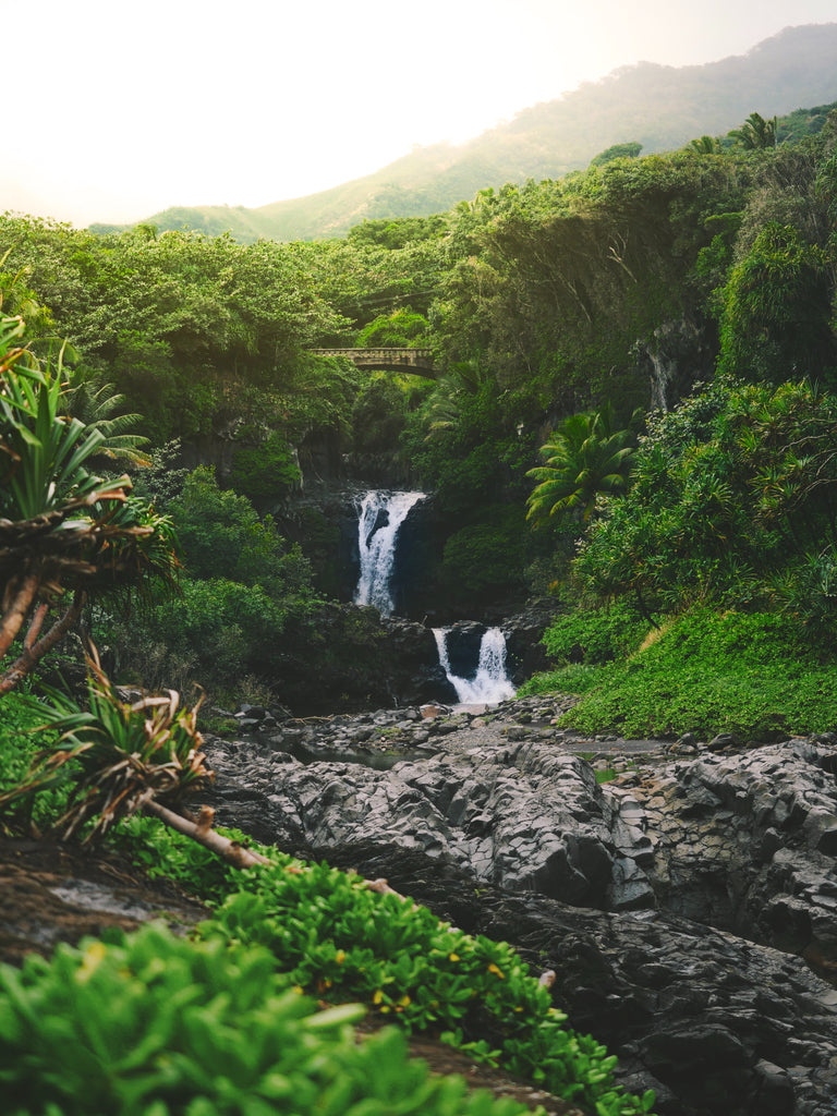 Celebrating Earth Day Every Day: Embracing Sustainability in Maui, Hawaii
